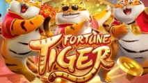 Fortune Tiger